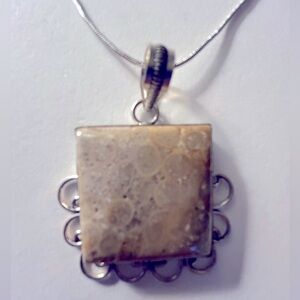 NWOT Necklace Fossilized Coral stone 2” scroll pendant .925 plate 18”chain